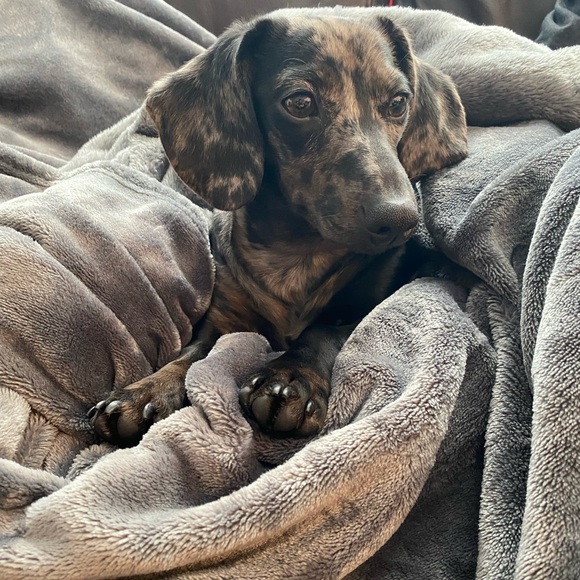 Meet your Posher, Sylvie M - Picture 1 of 1